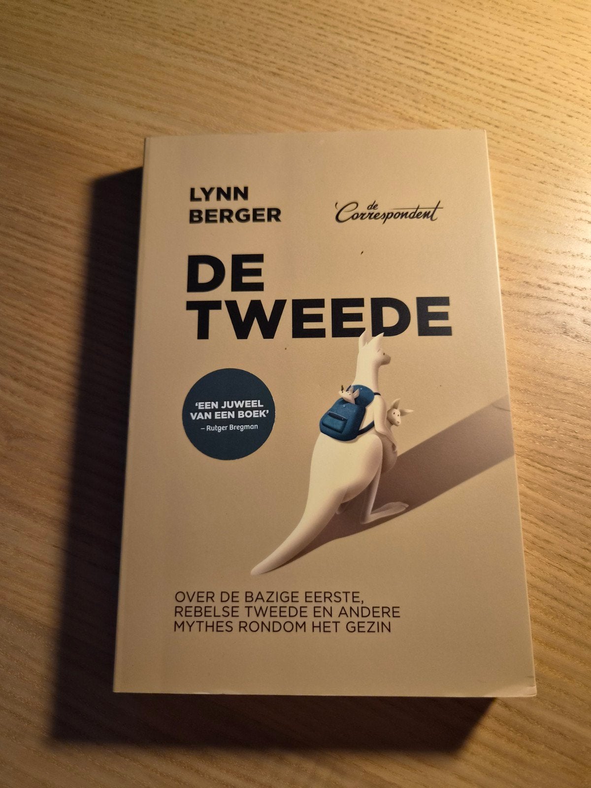 De Tweede - Lynn Berger (De Correspondent), Boeken, Ophalen of Verzenden, Zo goed als nieuw, Lynn Berger