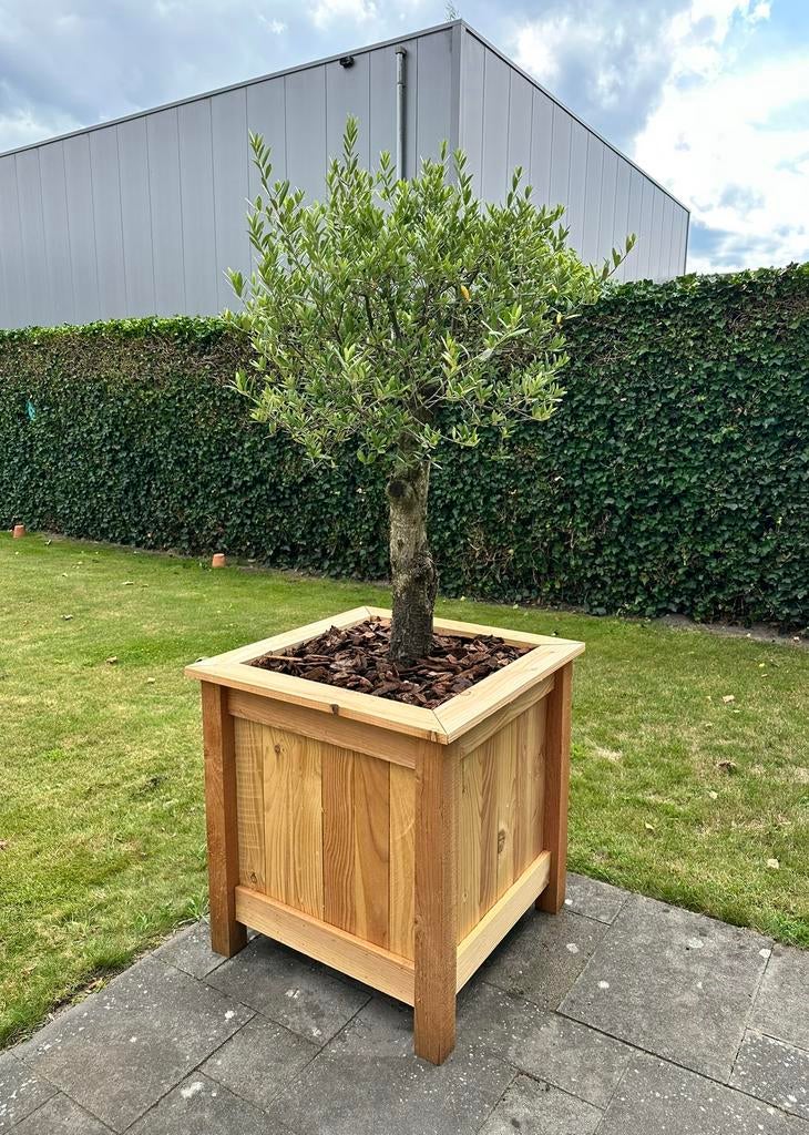 Douglas plantenbakken op maat, Tuin en Terras, Bloembakken en Plantenbakken, Ophalen, Zo goed als nieuw, Rechthoekig, Tuin