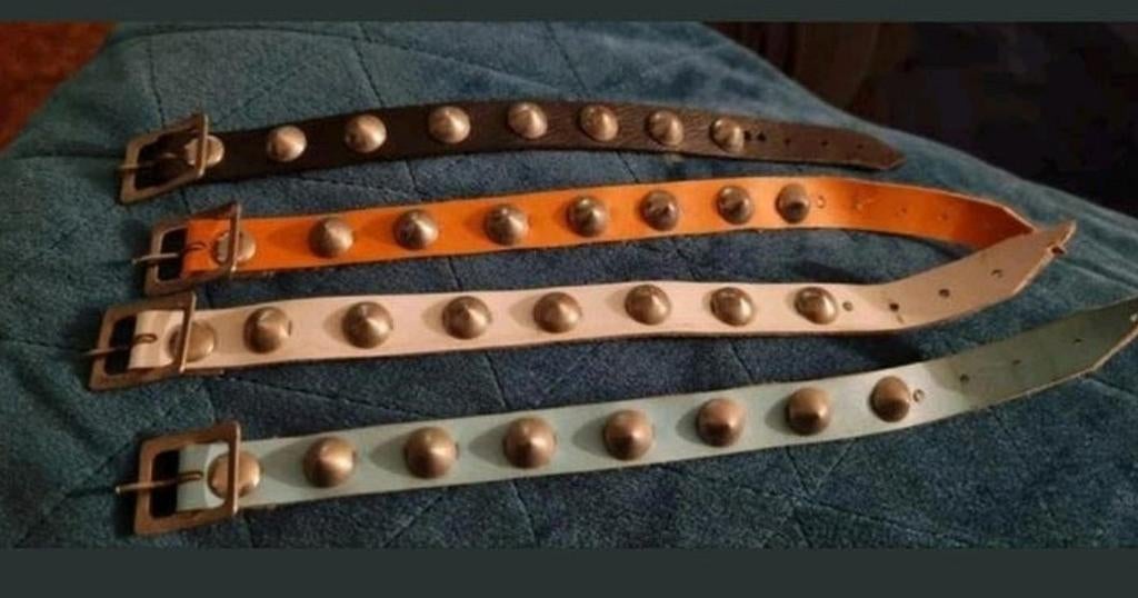 4 Stud armbandjes
Oranje, lichtblauw, wit en zwart, Ophalen of Verzenden, Gebruikt, Overige kleuren, Leer