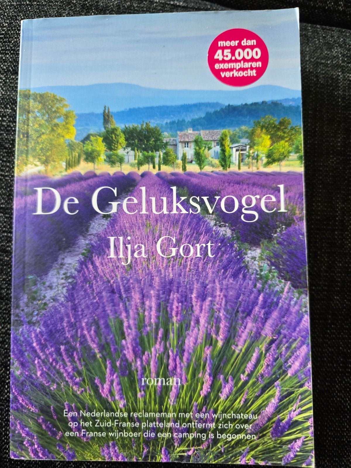 Ilja Gort - De Geluksvogel, Ophalen of Verzenden, Zo goed als nieuw, Ilja Gort