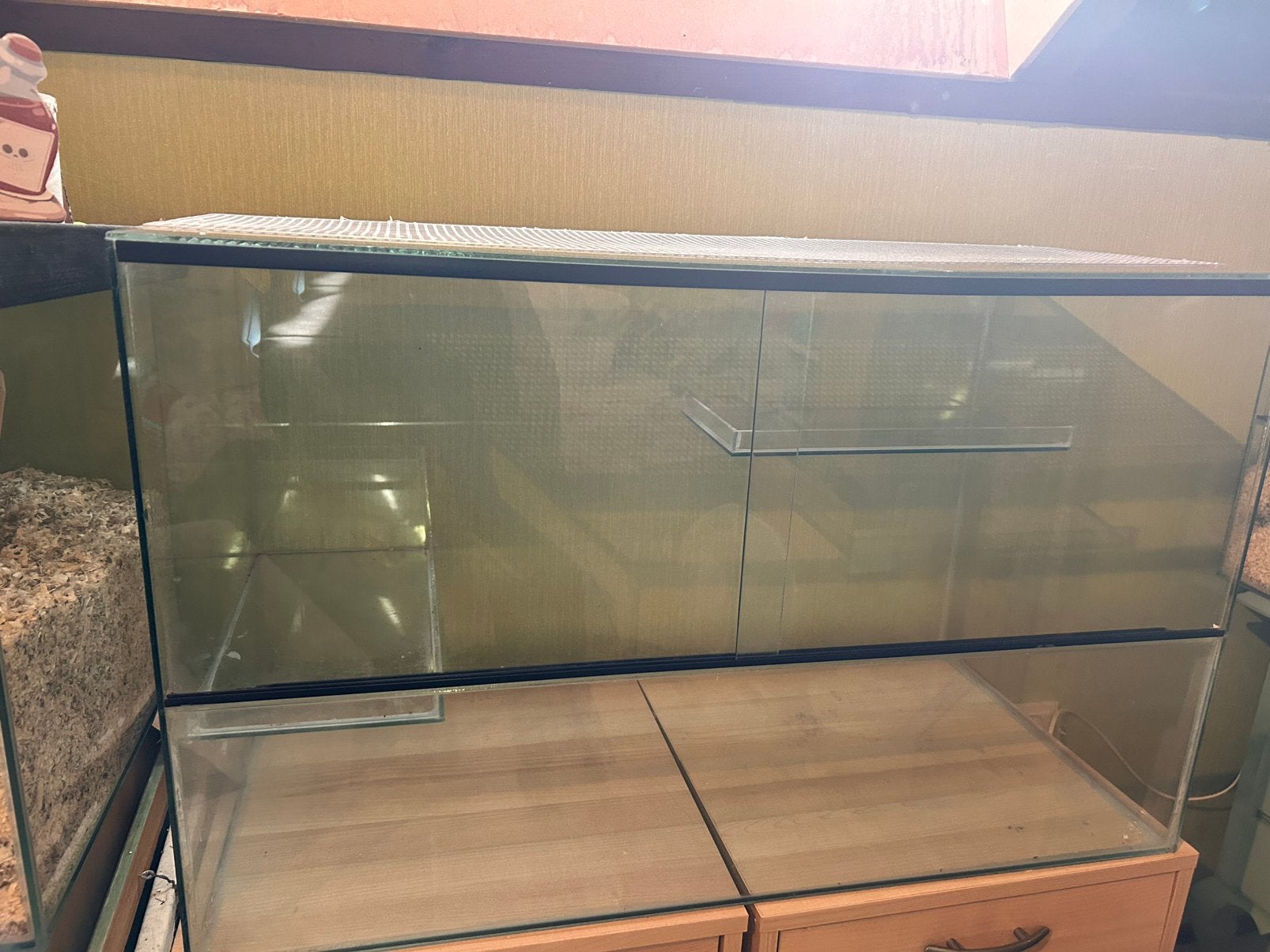 Terrarium voor hamster 80x40x50, Dieren en Toebehoren, Zo goed als nieuw, 75 tot 110 cm, Ophalen, Minder dan 60 cm