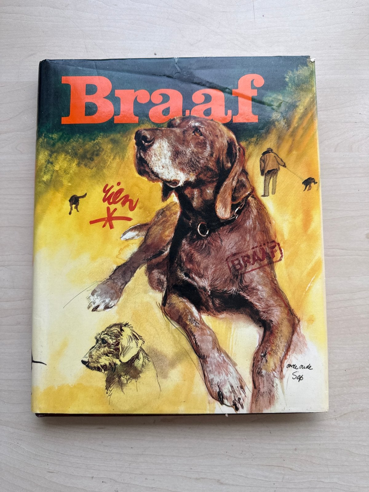 Brave: Een Boek over Honden - Klassiek Hondenboek, Ophalen of Verzenden, Gelezen, Honden
