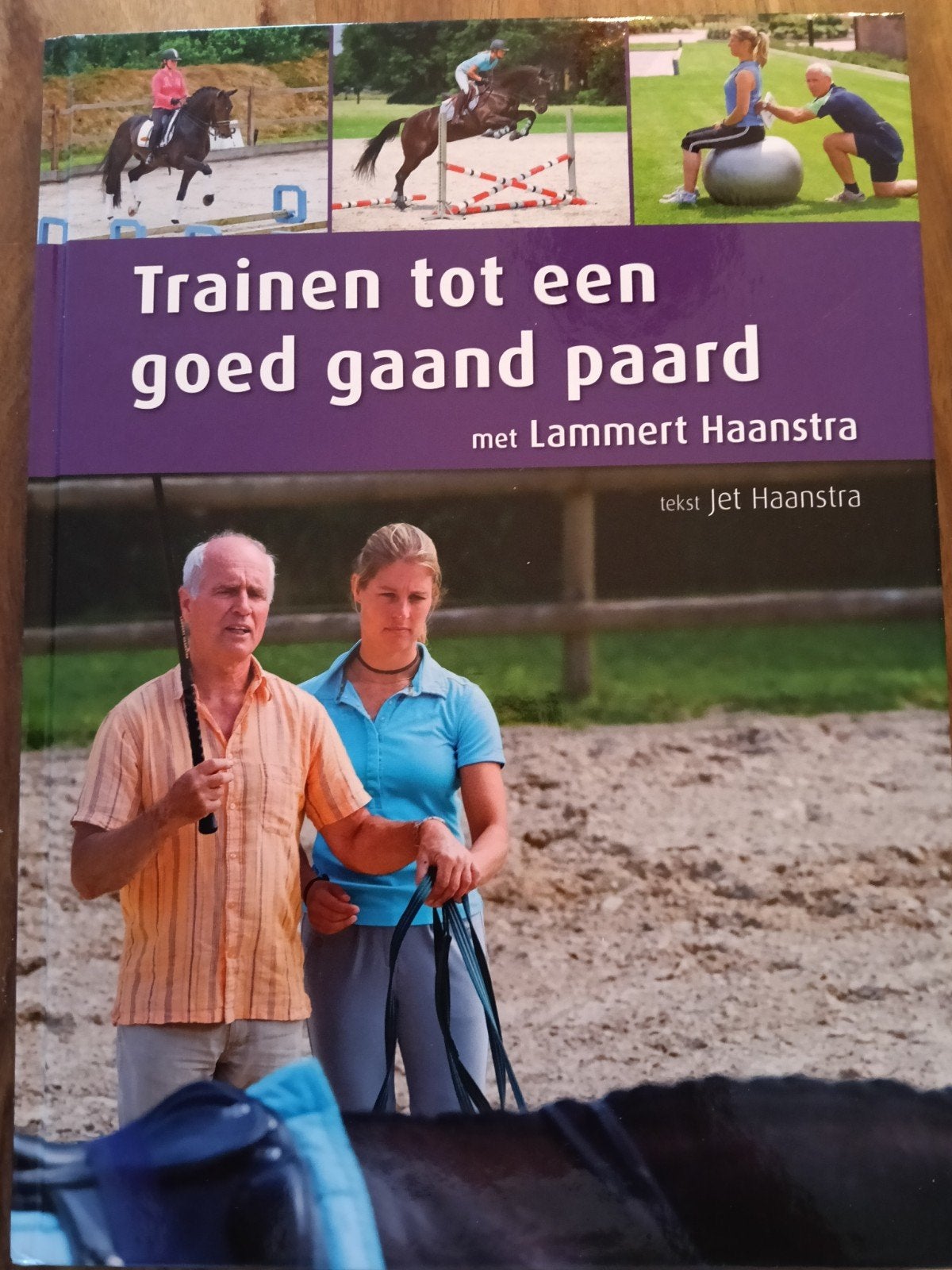 Trainen tot een goed gaand paard - Lammert Haanstra, Boeken, Ophalen of Verzenden, Nieuw, MBO, Jet Haanstra