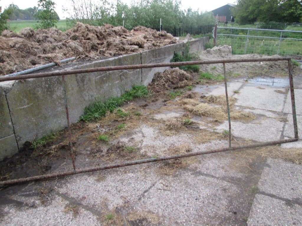 hek framen, Mannelijk, Schaap, 3 tot 5 jaar