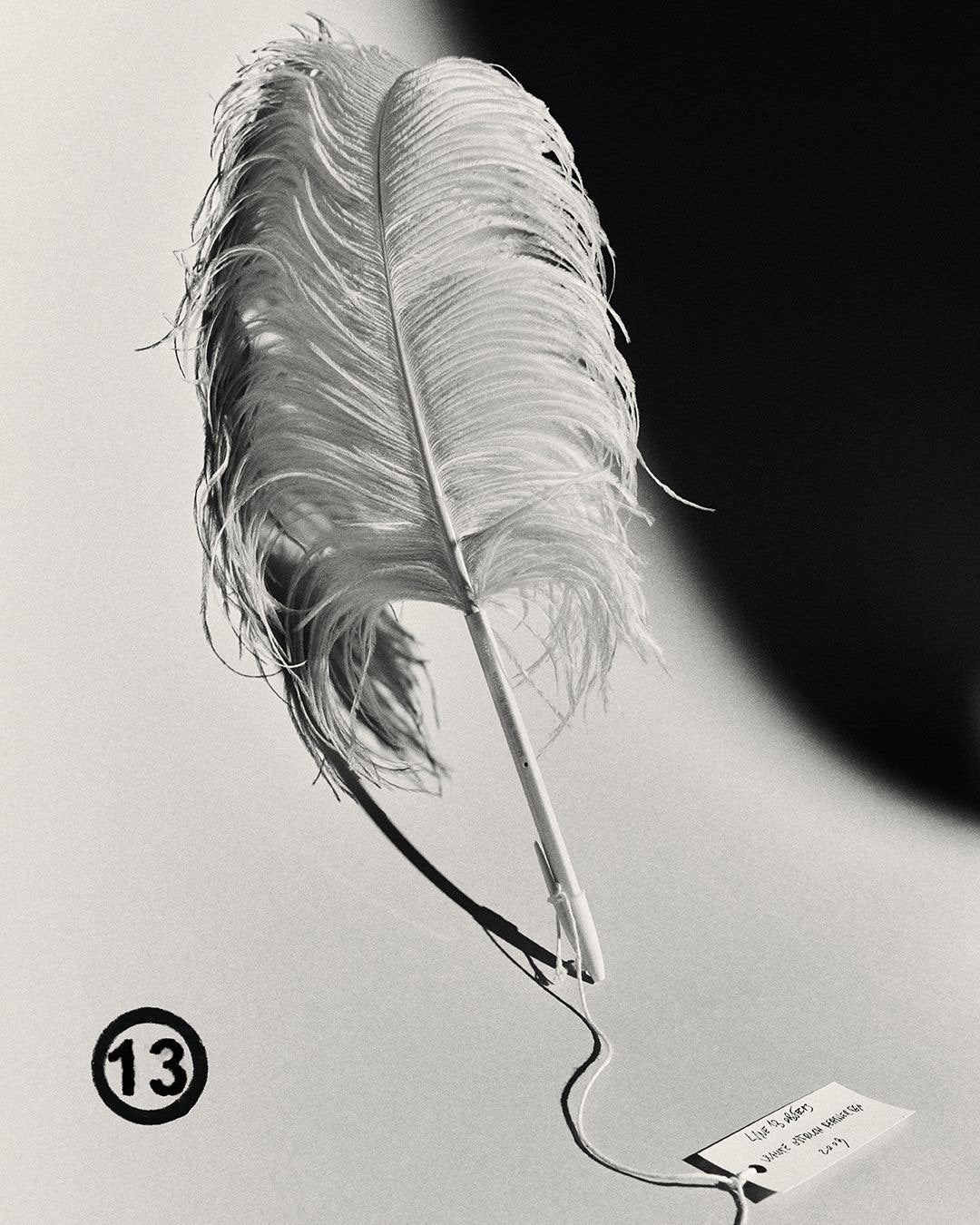 Maison Martin Margiela Martin Margiela Ostrich Feather Pen, Wit, Gemerkt, Object, Ophalen of Verzenden