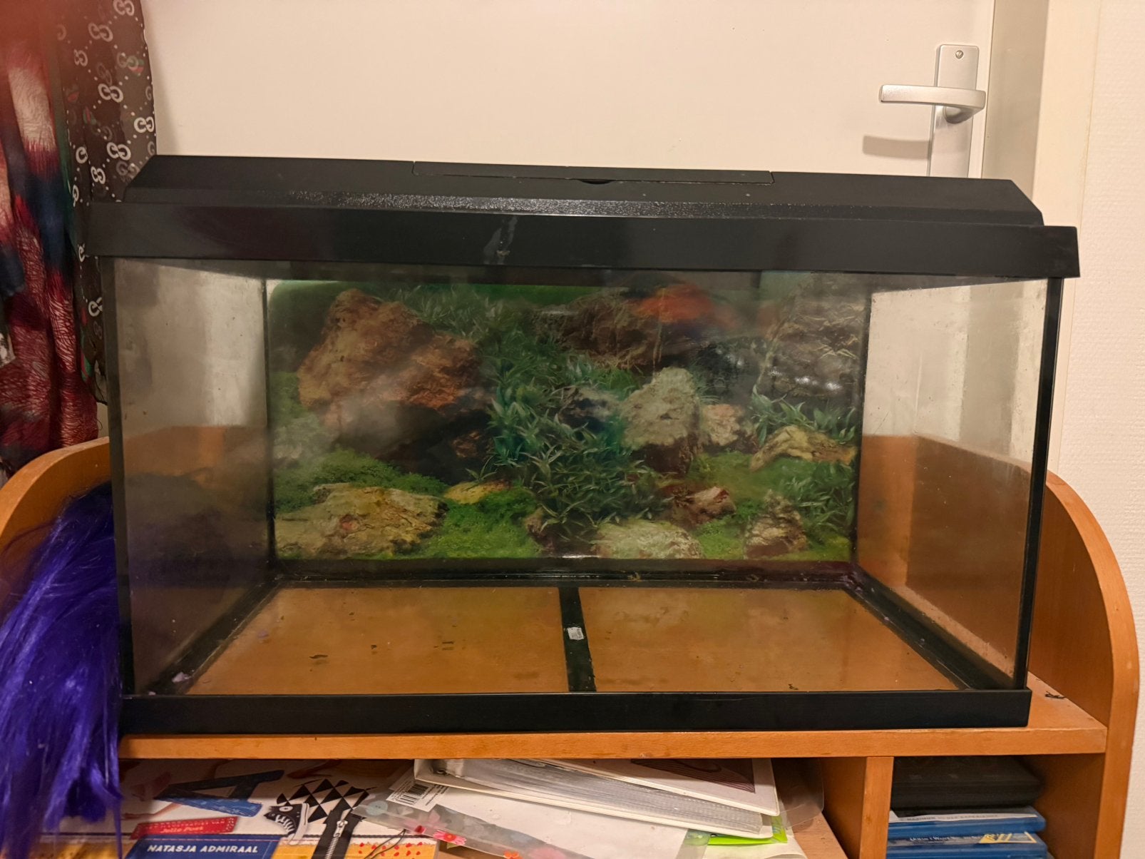 60 liter Aquarium van juwel, Ophalen, Gebruikt, Juwel, Inclusief deksel