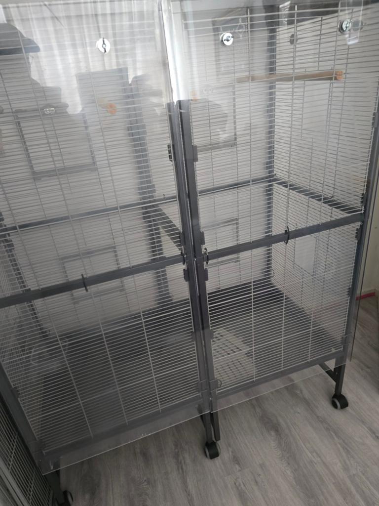 Vogel volliere grijs met plexiglas rondom plus, Dieren en Toebehoren, Vogels | Parkieten en Papegaaien, Meerdere dieren, Parkiet