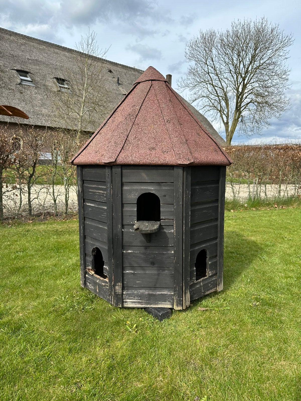 Ruime duiventil, Dieren en Toebehoren, Ophalen, Gebruikt, Hout, Vogelkooi