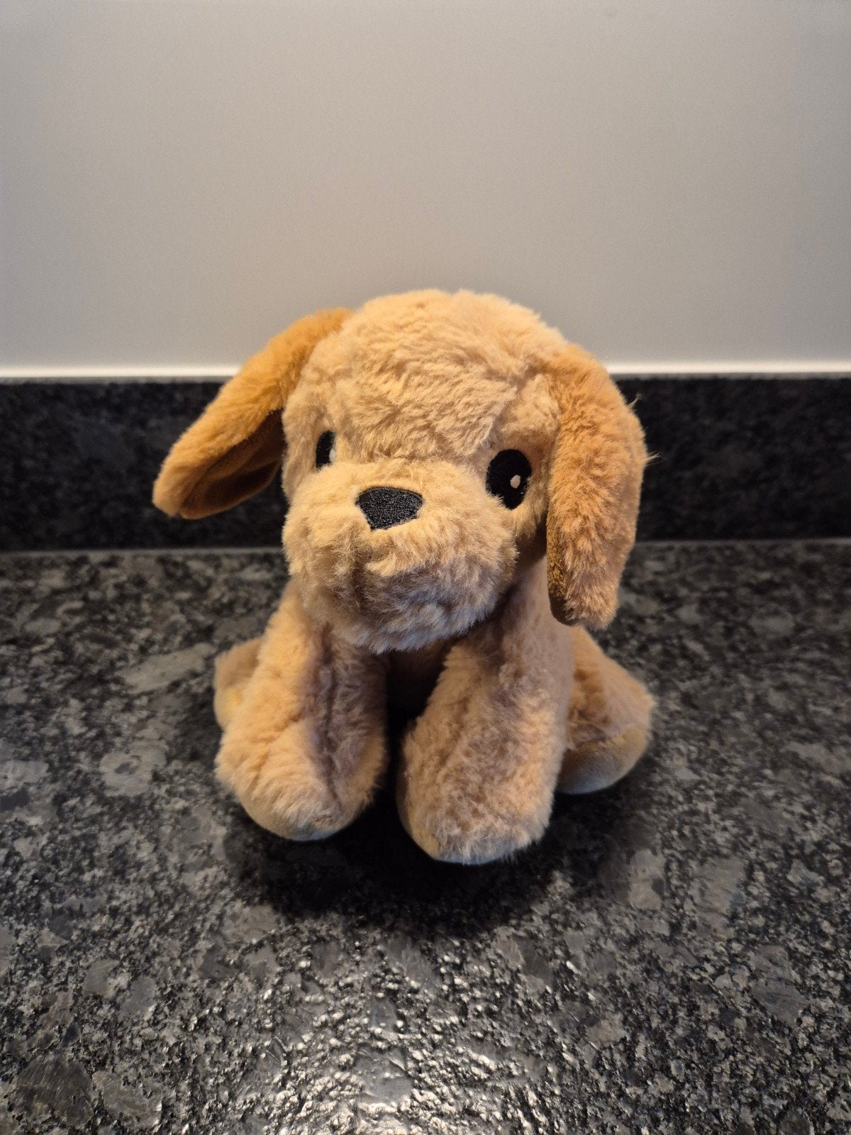 Evora - Knuffel Hond, Verzenden, Hond