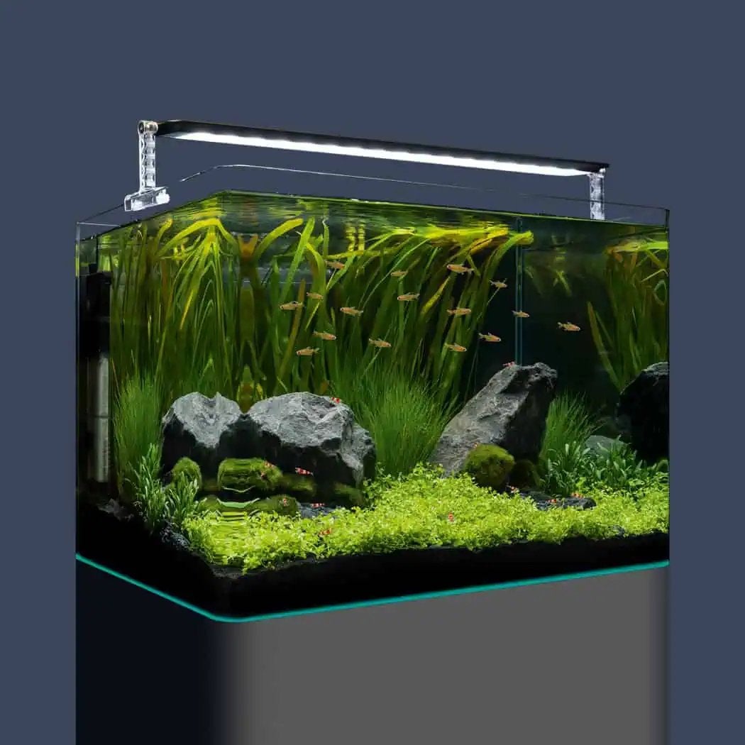 Twee Dennerle Nano Tanks Plant Pro 35L, Ophalen, Zo goed als nieuw, Leeg aquarium