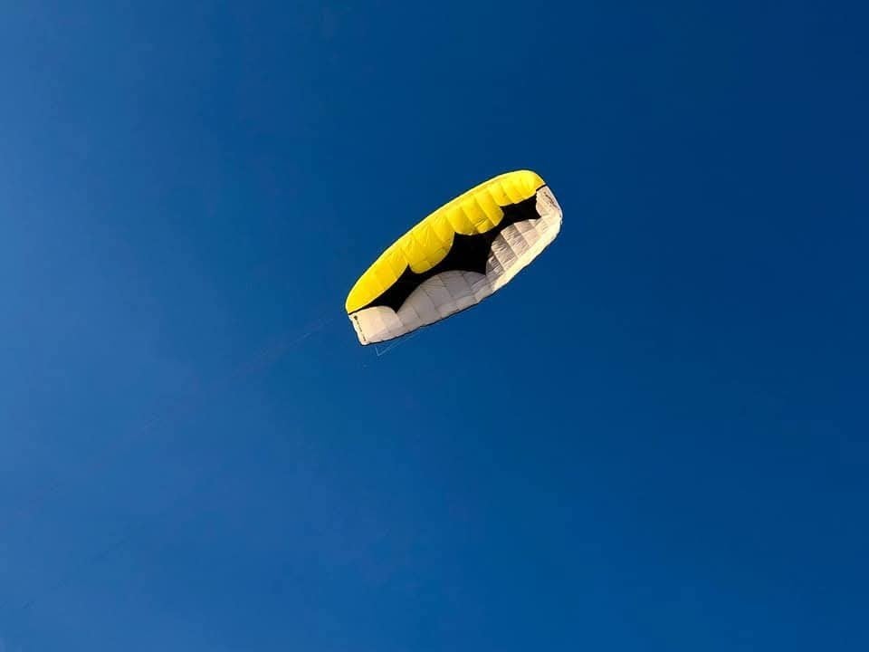 Peter Lynn Hornet 6.0, Ophalen, Zo goed als nieuw, Vierlijns, Vlieger