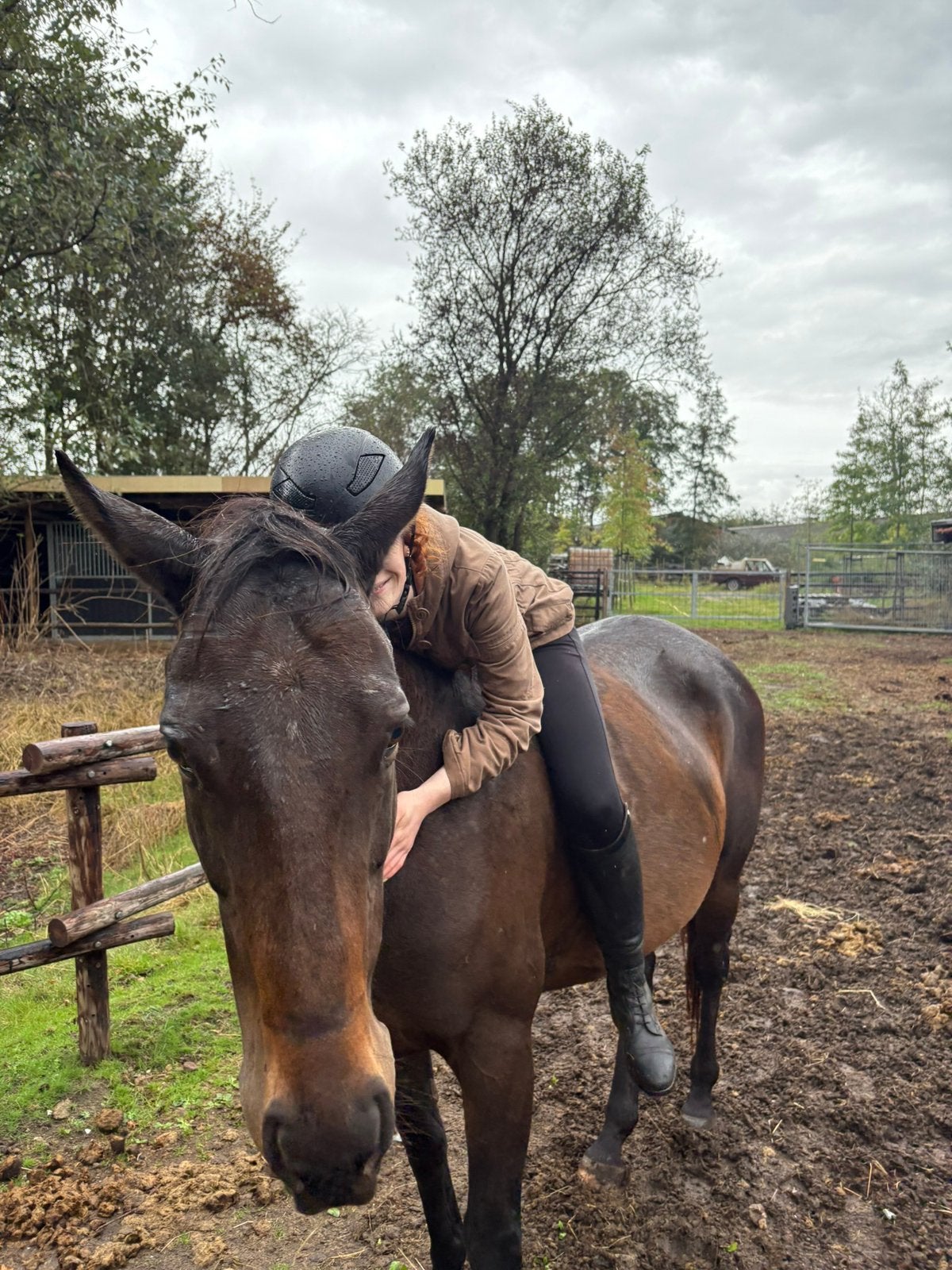 Eerlijke lieve E-pony, Dieren en Toebehoren, Pony's, 11 jaar of ouder, Recreatiepony, Met stamboom, Merrie