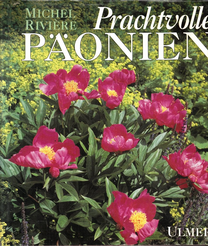 Prachtvolle Päonien, Ophalen of Verzenden, Gelezen, Tuinieren en Tuinplanten