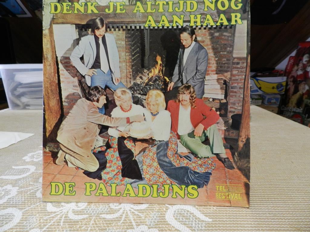 DE PALADIJNS, Cd's en Dvd's, Ophalen of Verzenden, Zo goed als nieuw, Overige formaten, Levenslied of Smartlap