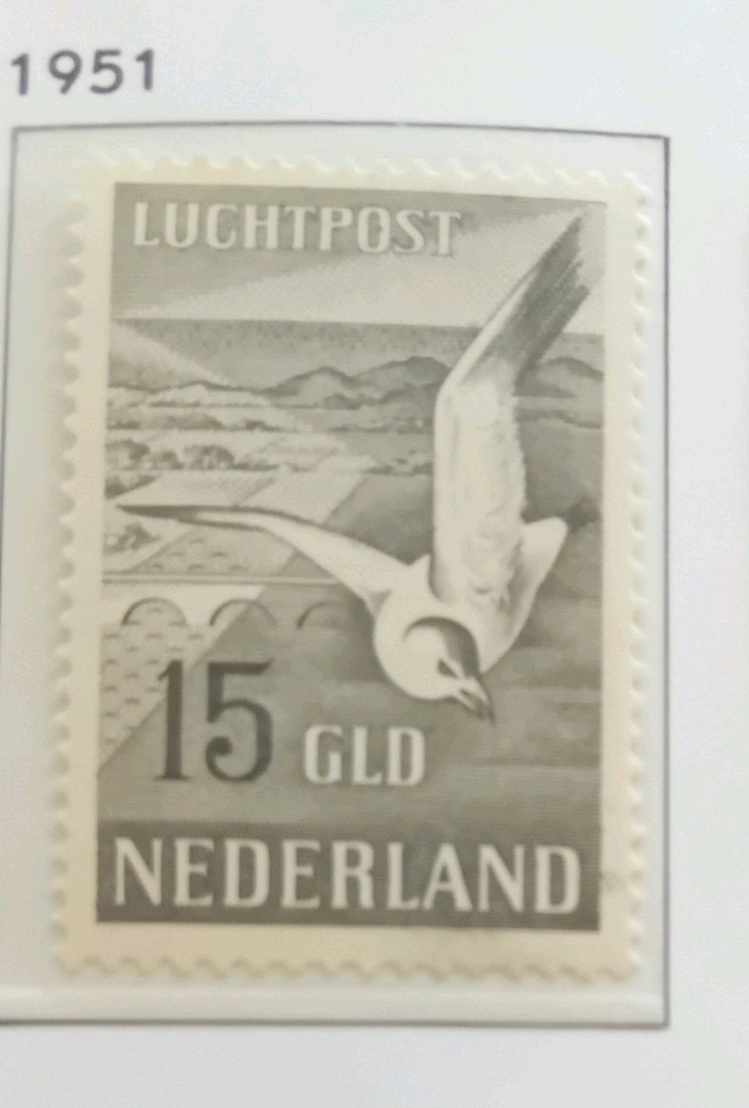 NVPH LP12 Postfris, Postzegels en Munten, Postzegels | Nederland, Ophalen of Verzenden, T/m 1940, Postfris