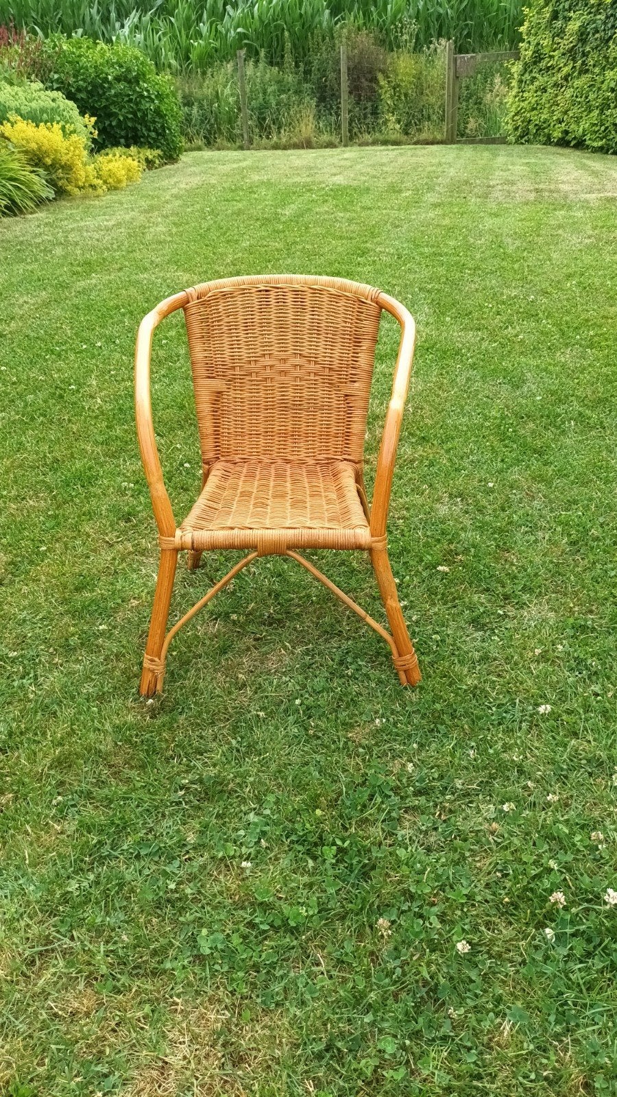 Rotan kinderstoeltje, Ophalen, Gebruikt, Overige typen