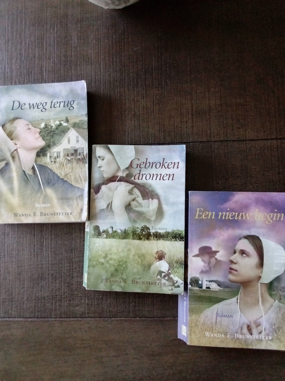 Amish serie Wanda E. Brunstetter - 6 boeken, Boeken, Romans, Ophalen