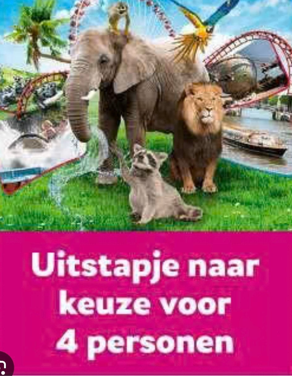 4 kaarten uitstapje naar keuze, Drie personen of meer, Ticket of Toegangskaart