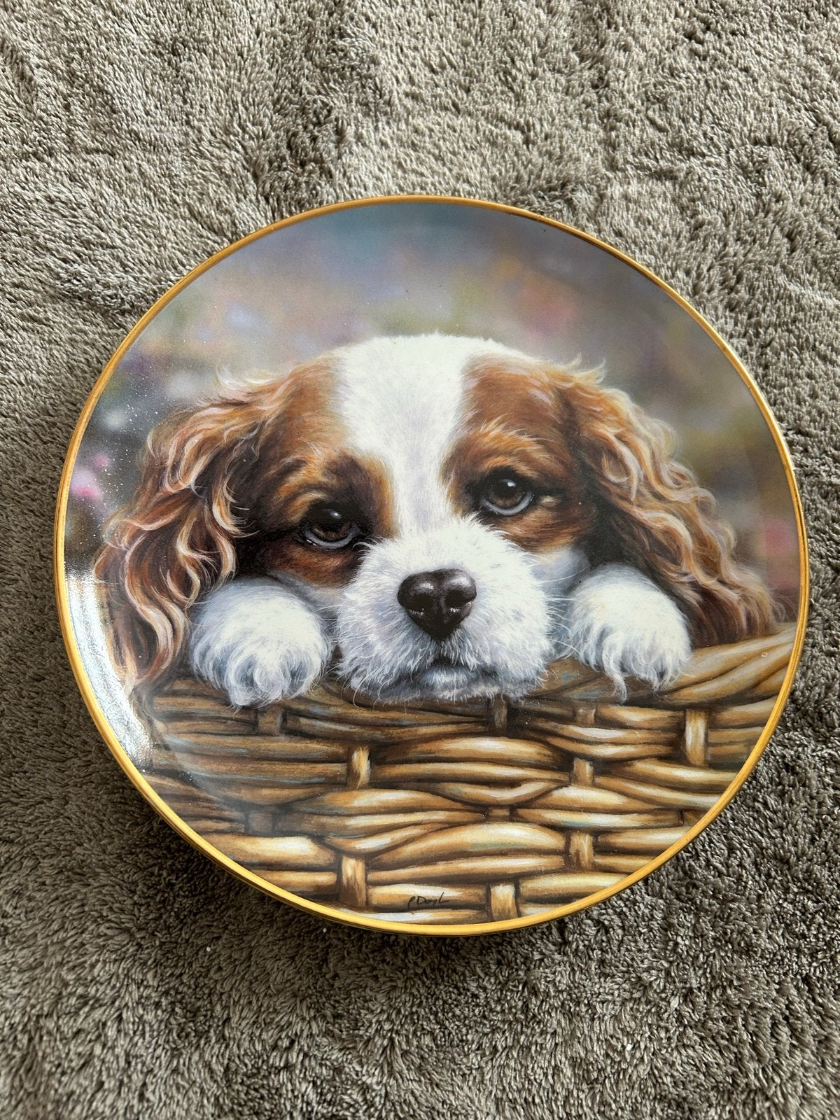 Decoratieve wandplaat Cavalier King Charles Spaniel, Ophalen of Verzenden