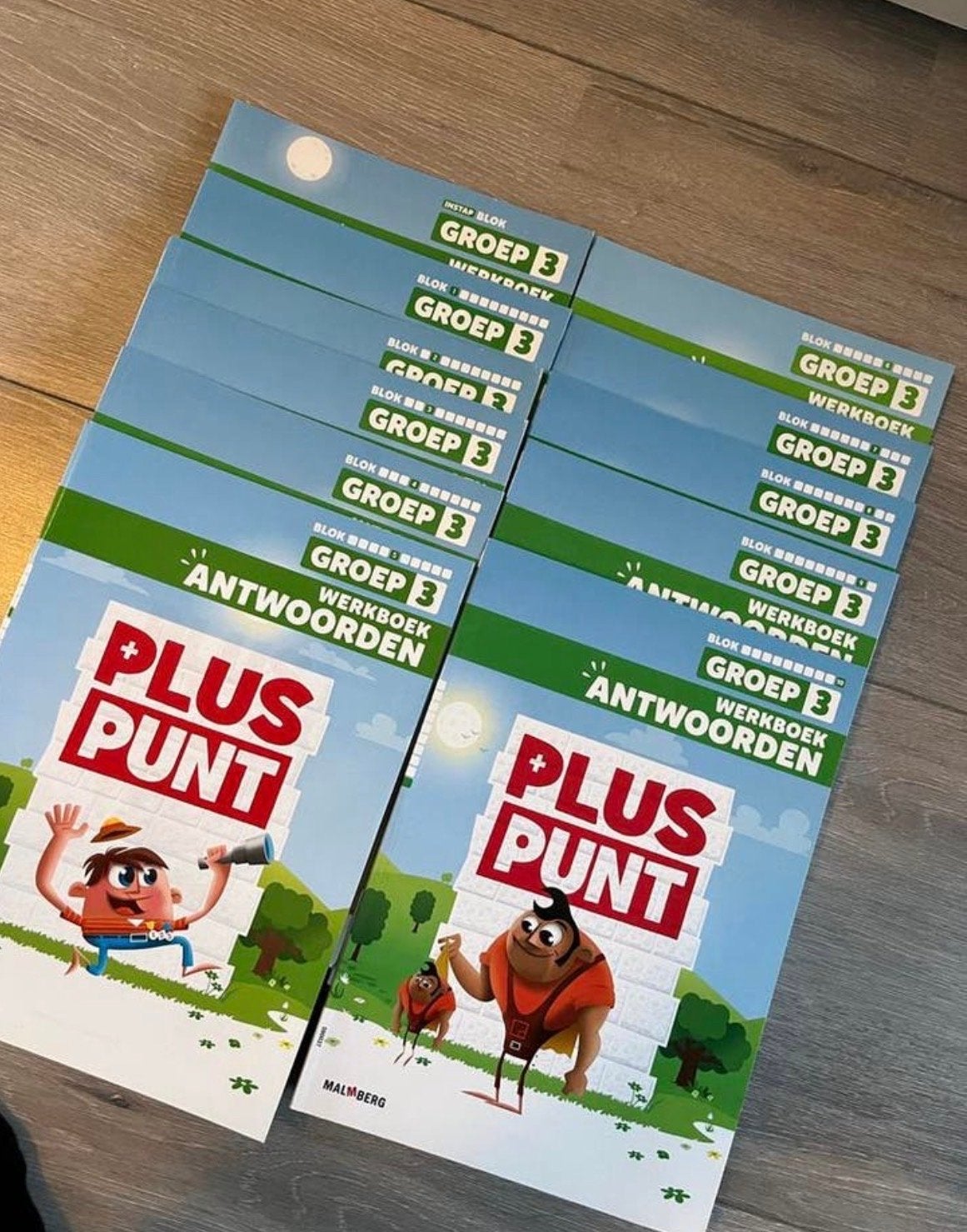 Pluspunt Rekenen Groep 3 Antwoordboeken, Boeken, Schoolboeken, Ophalen of Verzenden, Zo goed als nieuw, Overige niveaus, Overige vakken