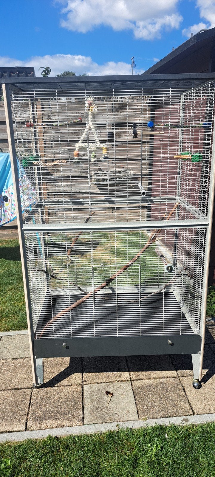 Montana Happy Home B99 kamervolière, Dieren en Toebehoren, Ophalen, Gebruikt, Metaal, Volière