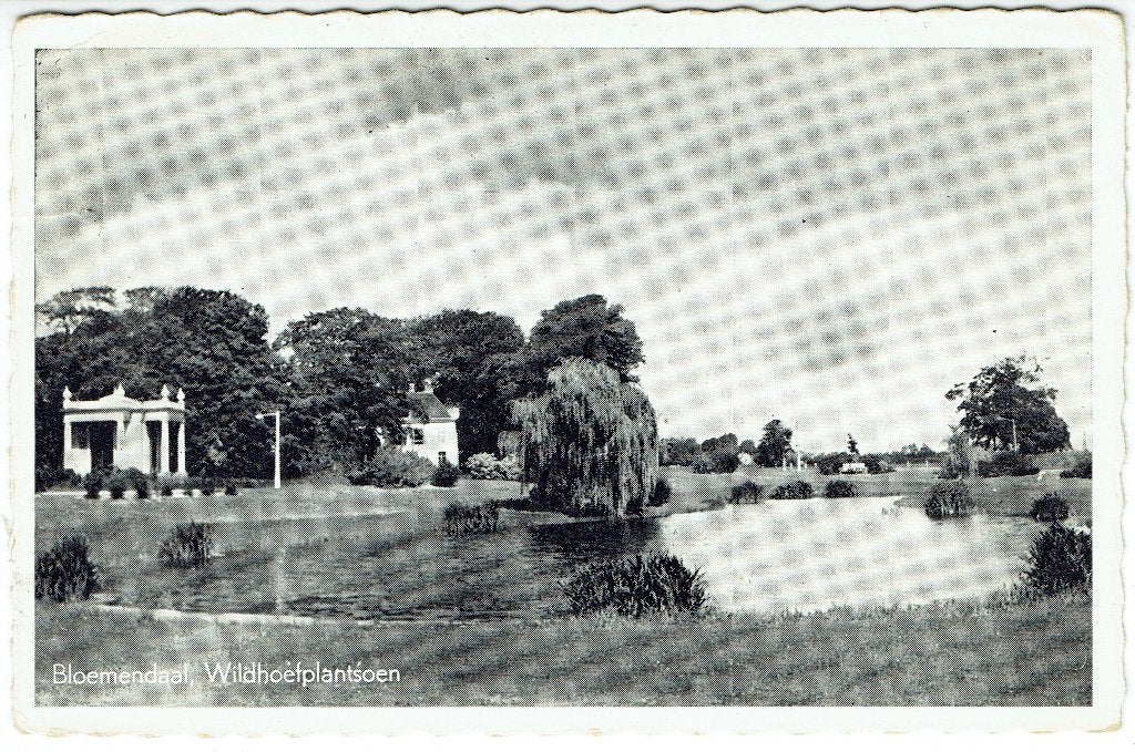 Ansichtkaart Bloemendaal Wildhoefplantsoen (Regio Haarlem), Ophalen of Verzenden, Voor 1920, Gelopen, Noord-Holland