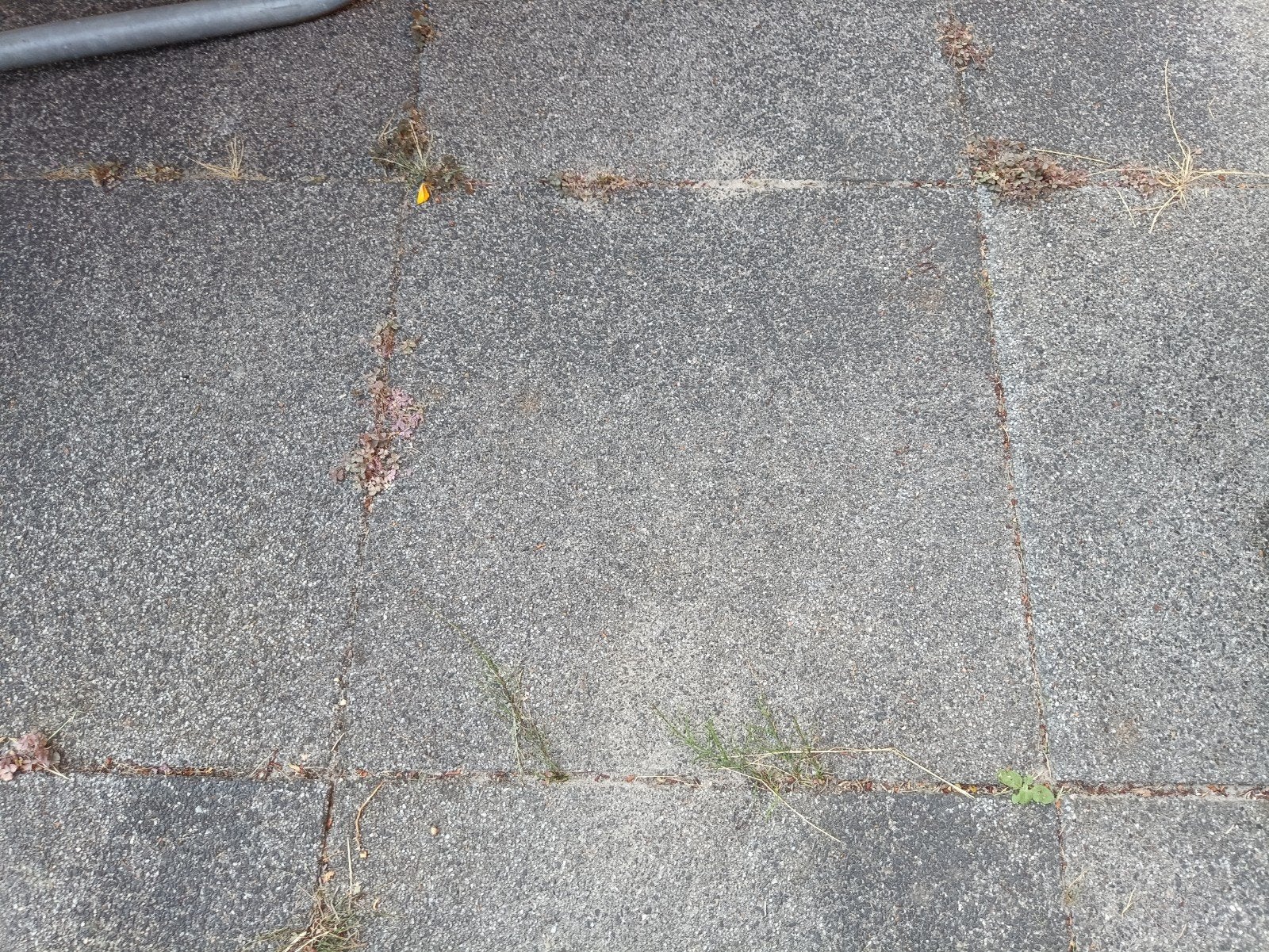 Gratis tuintegels 60x60x6 - tot 150 stuks beschikbaar, Ophalen, Gebruikt, 10 m² of meer, Beton