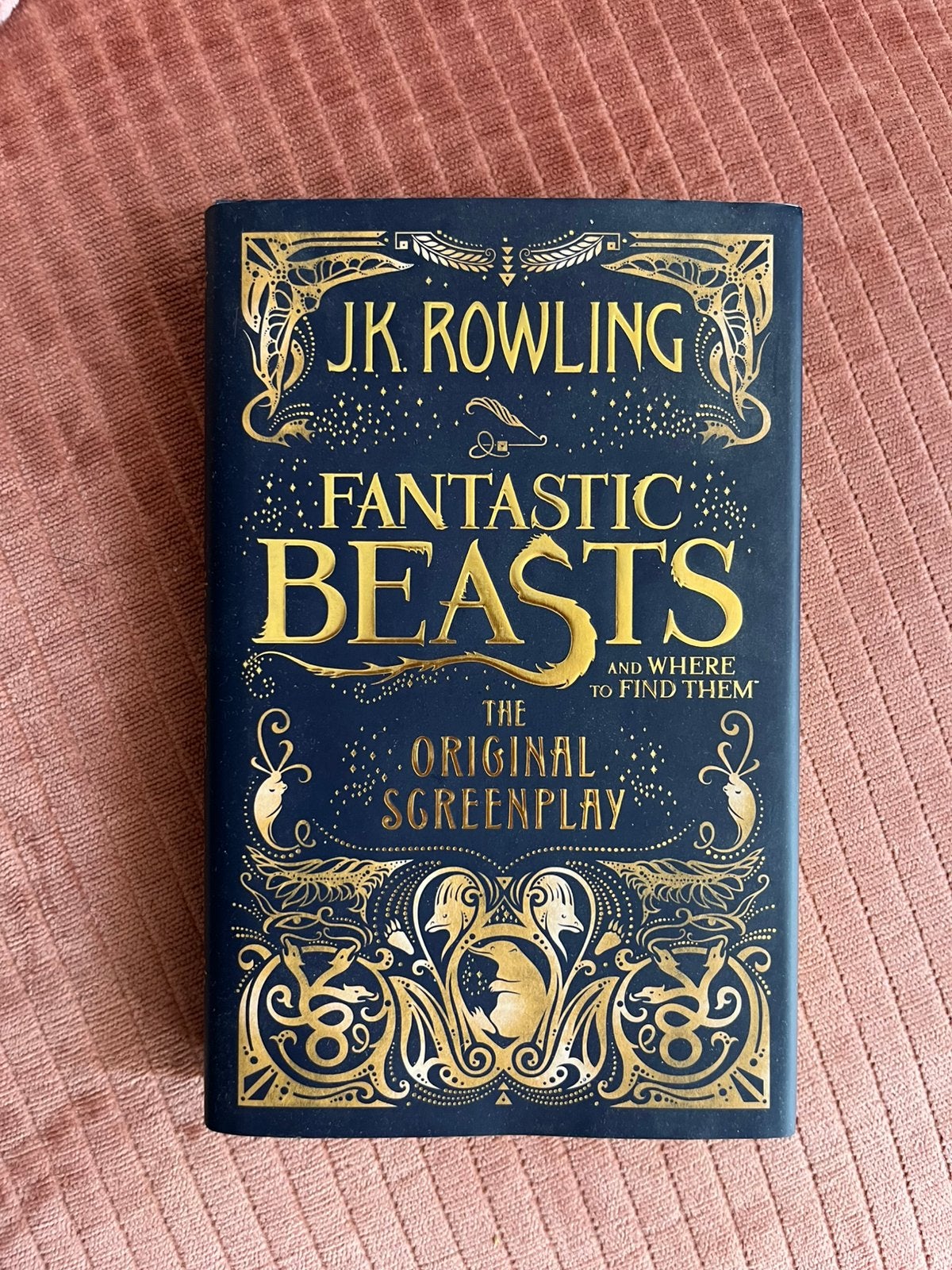 Fantastic Beasts screenplay, Boeken, Ophalen of Verzenden, Gelezen