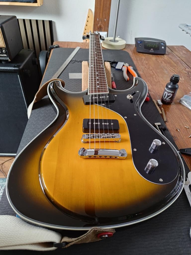 Gitaar Onderhoud Service Amersfoort, Ophalen, Solid body