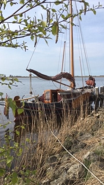 Platbodem / zeilboot huren al vanaf 650,00 euro, Watersport en Boten, Platbodems, Ophalen, Binnenboordmotor, Diesel, Zo goed als nieuw