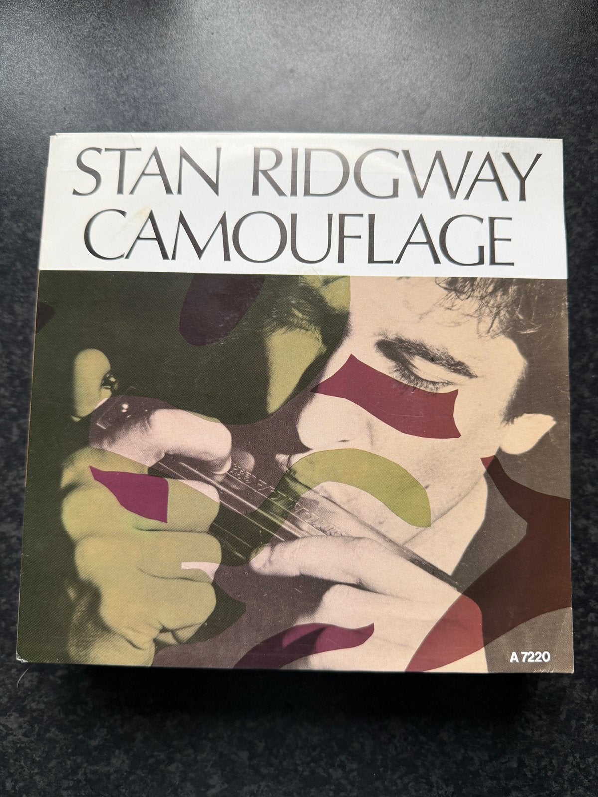 Stan ridgway-camouflage, Verzenden, Zo goed als nieuw, Pop