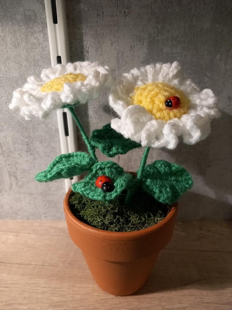 Bloempotje met gehaakte margrietjes, Ophalen of Verzenden, Nieuw