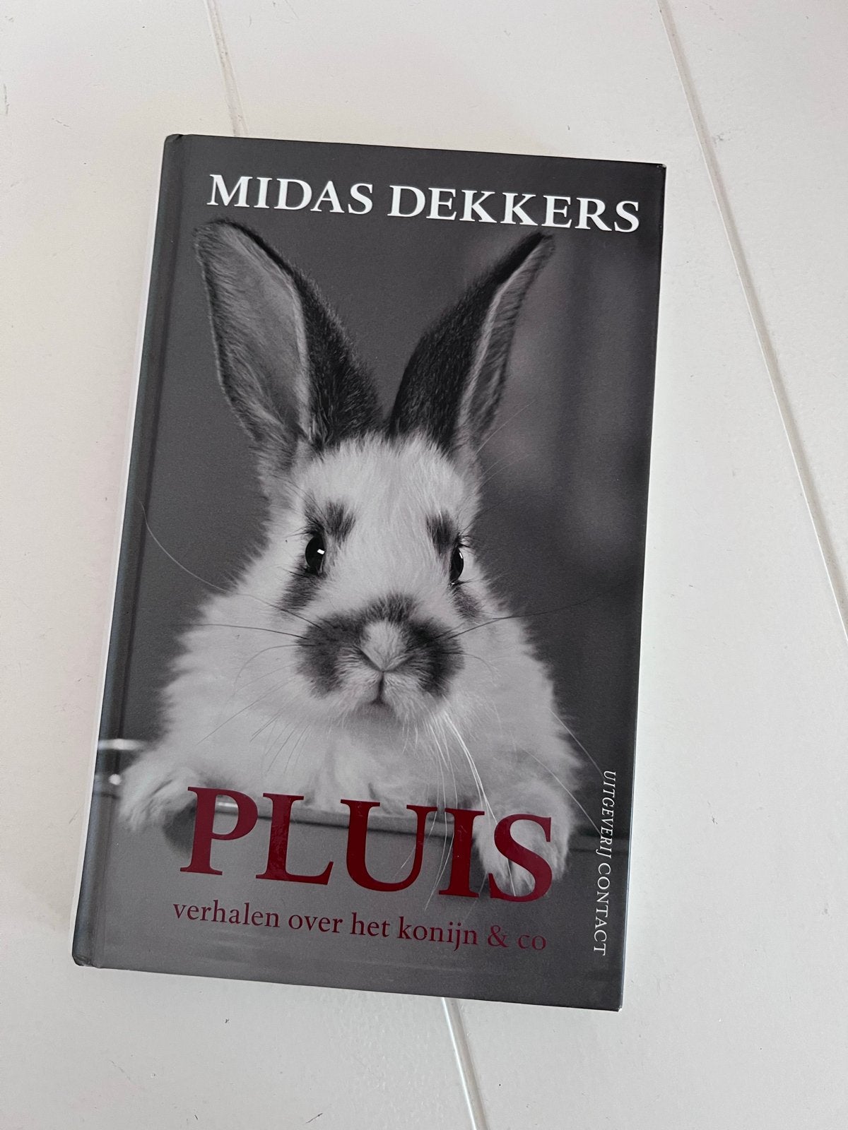 Midas Dekkers - Pluis: Verhalen over het konijn & co, Ophalen of Verzenden, Zo goed als nieuw, Konijnen of Knaagdieren