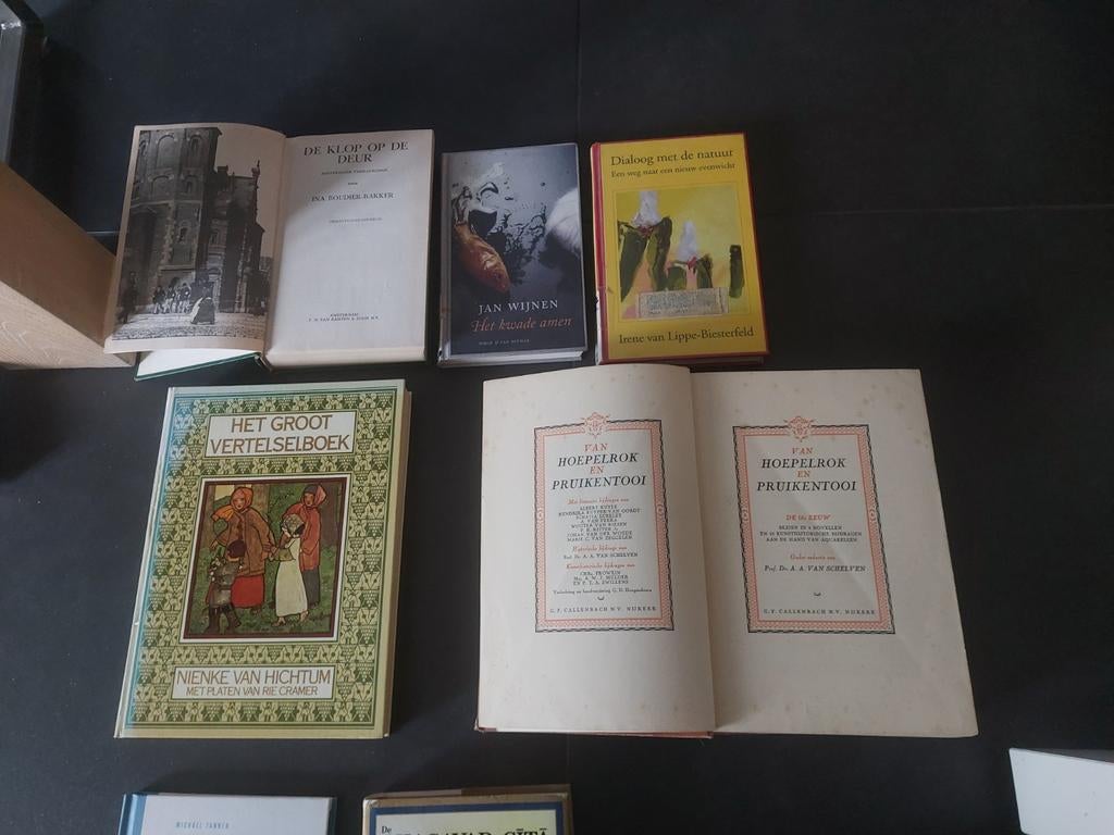 2e hands boeken Nederlands, diverse, Ophalen, Gelezen, Diverse