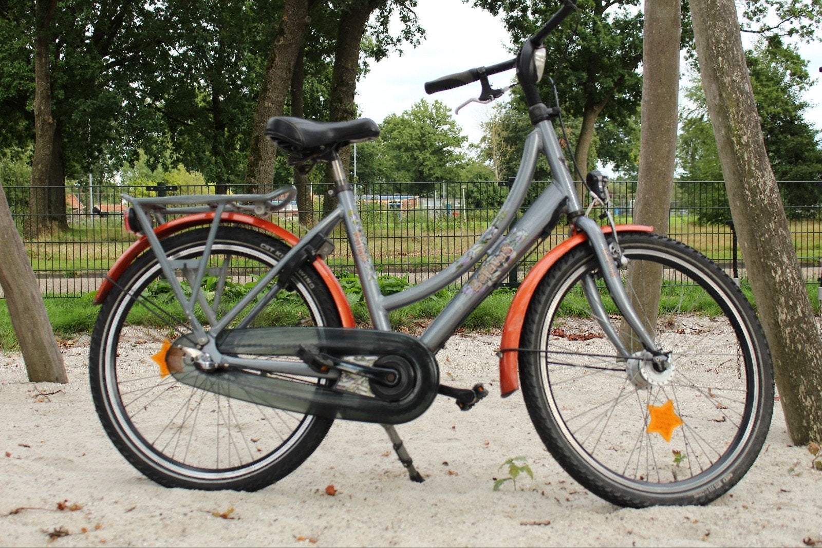 Batavus Amigo Meisjesfiets - Leuke en Stevige Kinderfiets, Ophalen, Terugtraprem, Versnellingen, Batavus