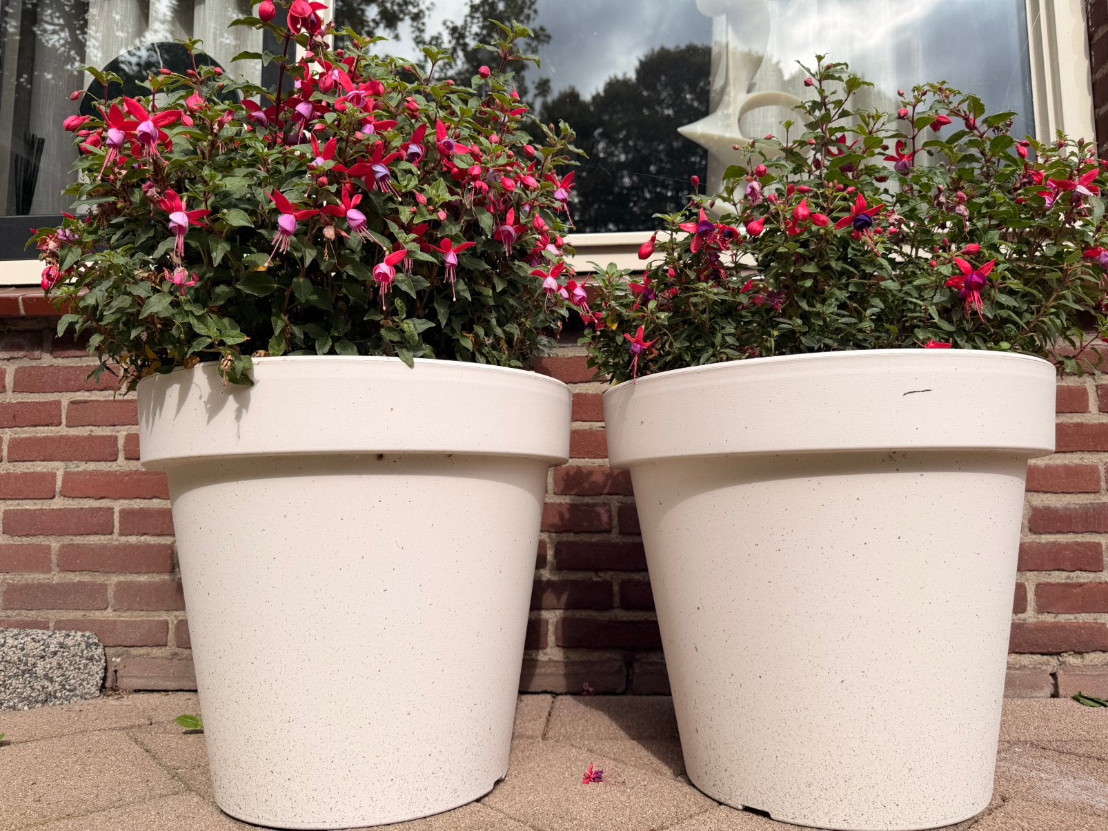 Bloempotten met planten, Tuin en Terras, Ophalen, Kunststof, Gebruikt, Rond