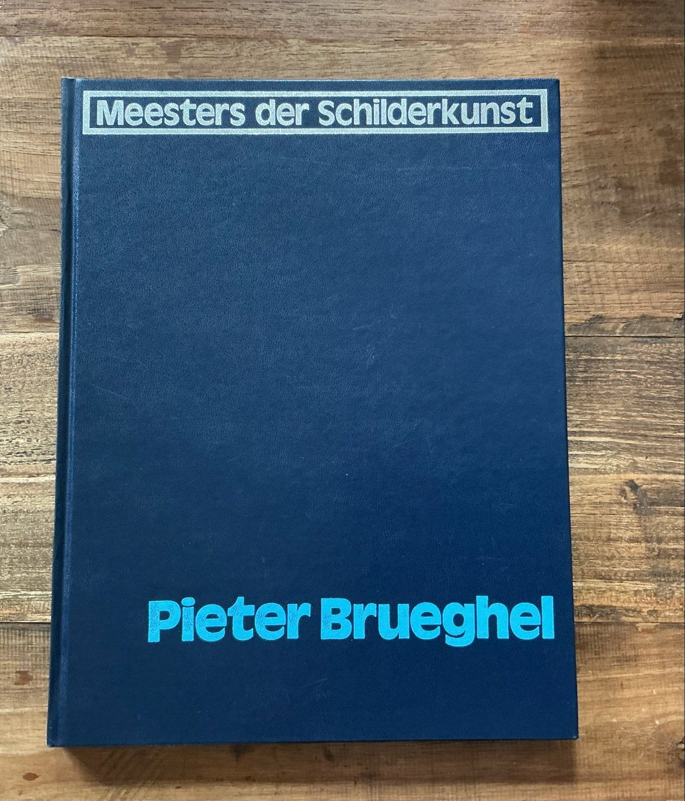 Meesters der Schilderkunst - Pieter Brueghel, Ophalen of Verzenden, Zo goed als nieuw, Schilder- en Tekenkunst