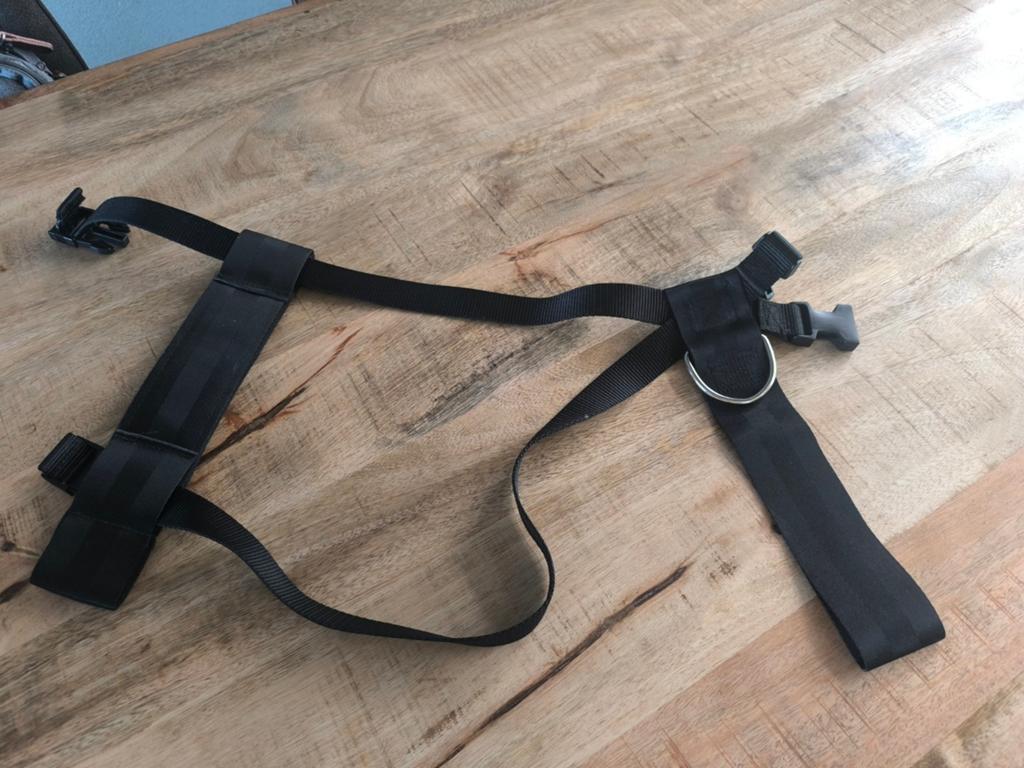 Veiligheidstuig hond, Dieren en Toebehoren, Ophalen of Verzenden, Nieuw, Hondenriem-accessoire