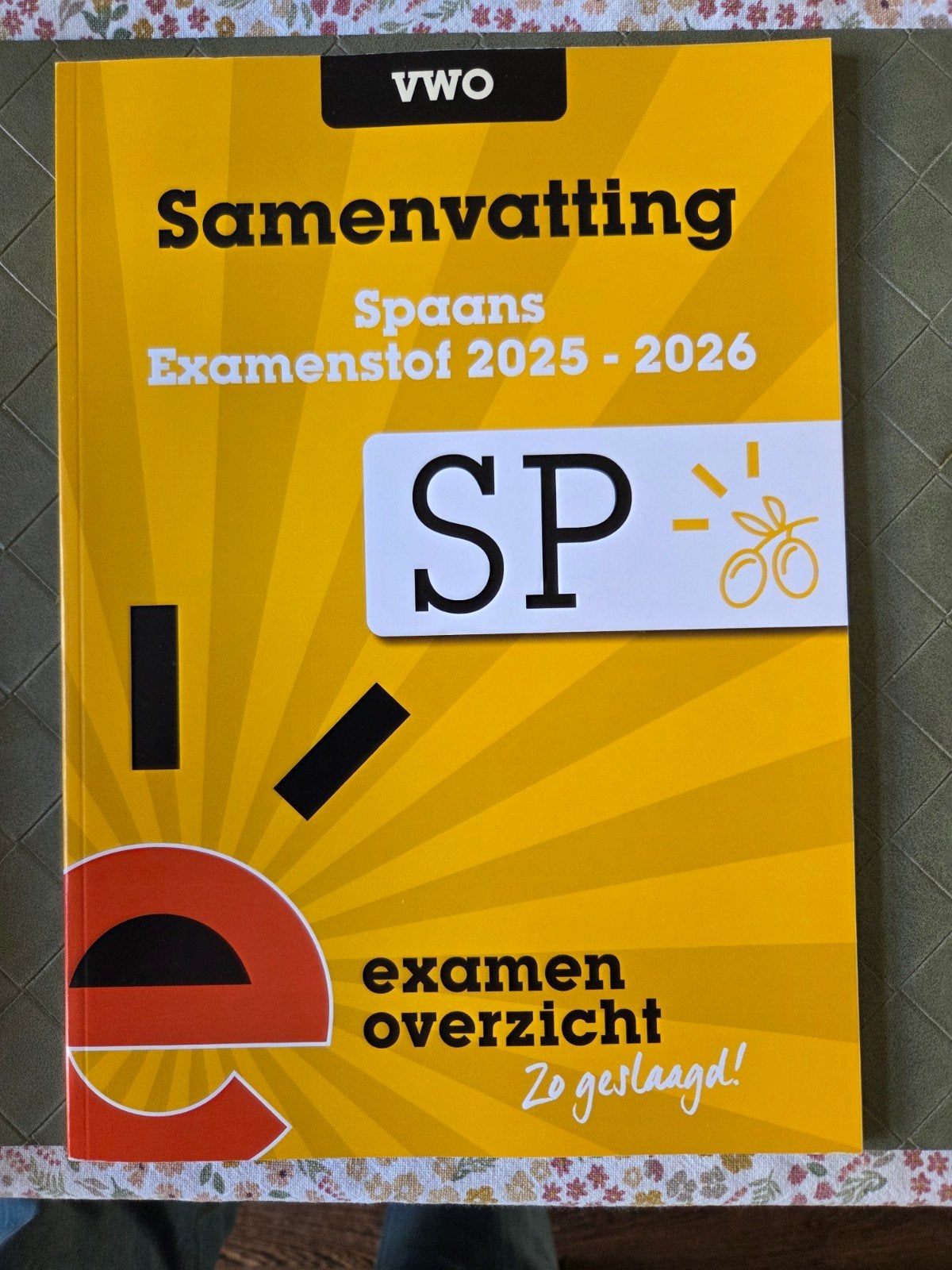 VWO Samenvatting Spaans Examenstof 2025-2026, Ophalen of Verzenden, Zo goed als nieuw, Onbekend, Non-fictie