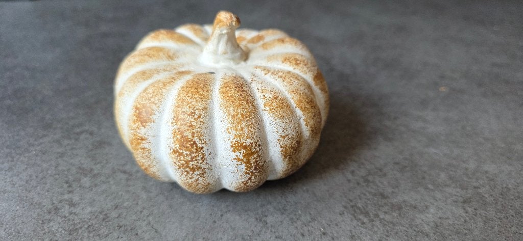 Pompoen sier, Ophalen of Verzenden