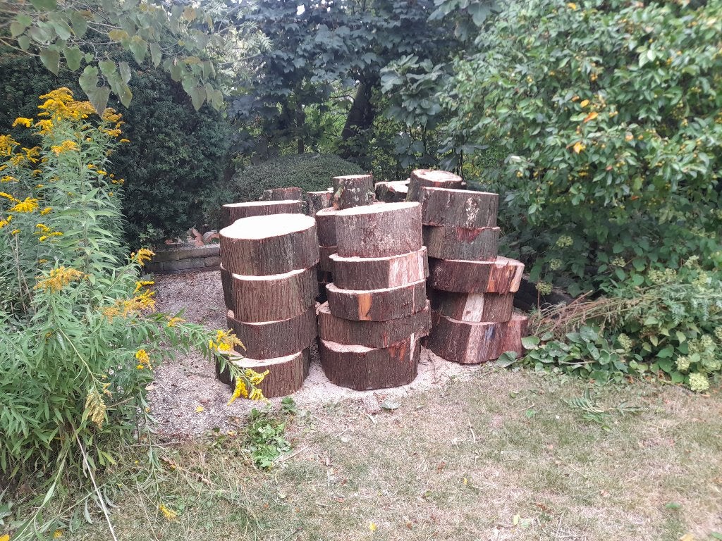 Mooie blokken naaldhout ruim 3 m3, Tuin en Terras, Haardhout, 3 tot 6 m³, Ophalen, Overige houtsoorten, Blokken