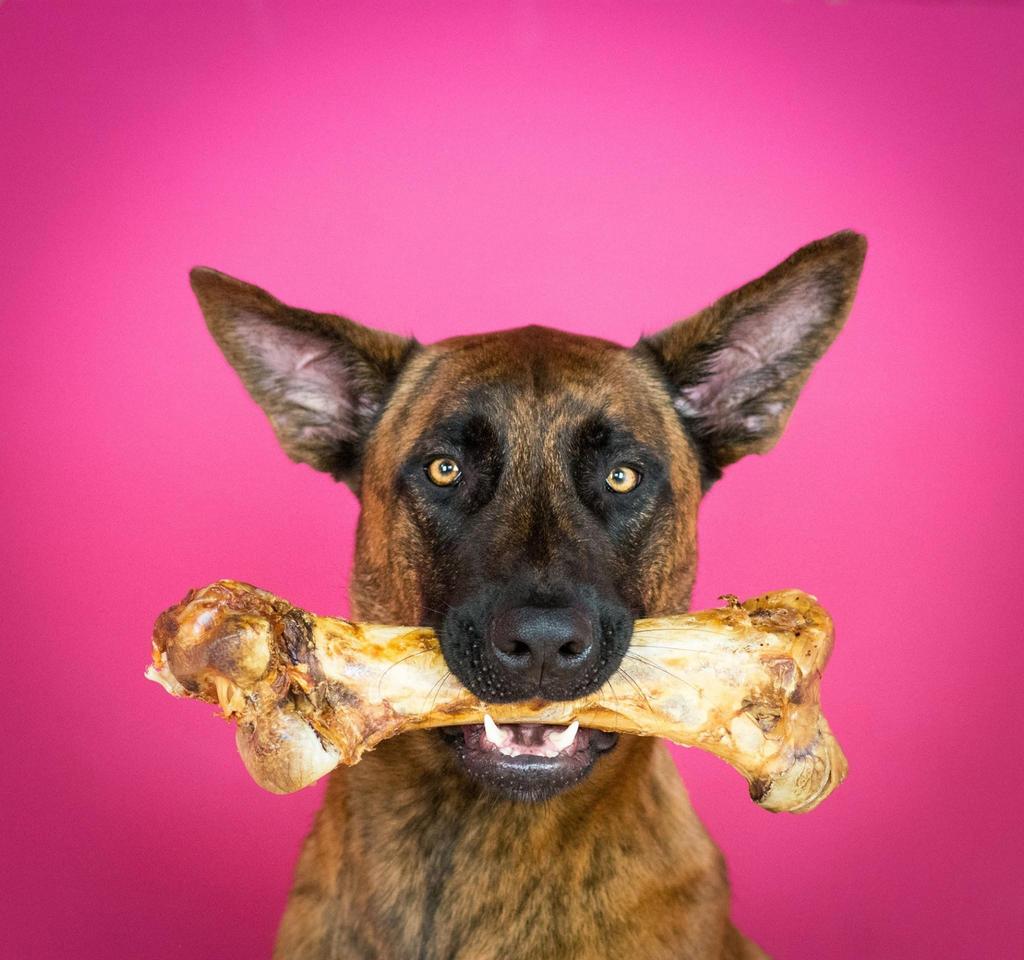 Creatieve professional beschikbaar – fotos, video etc., Vacatures, Vacatures | Marketing, Communicatie en Media, Vanaf 10 jaar