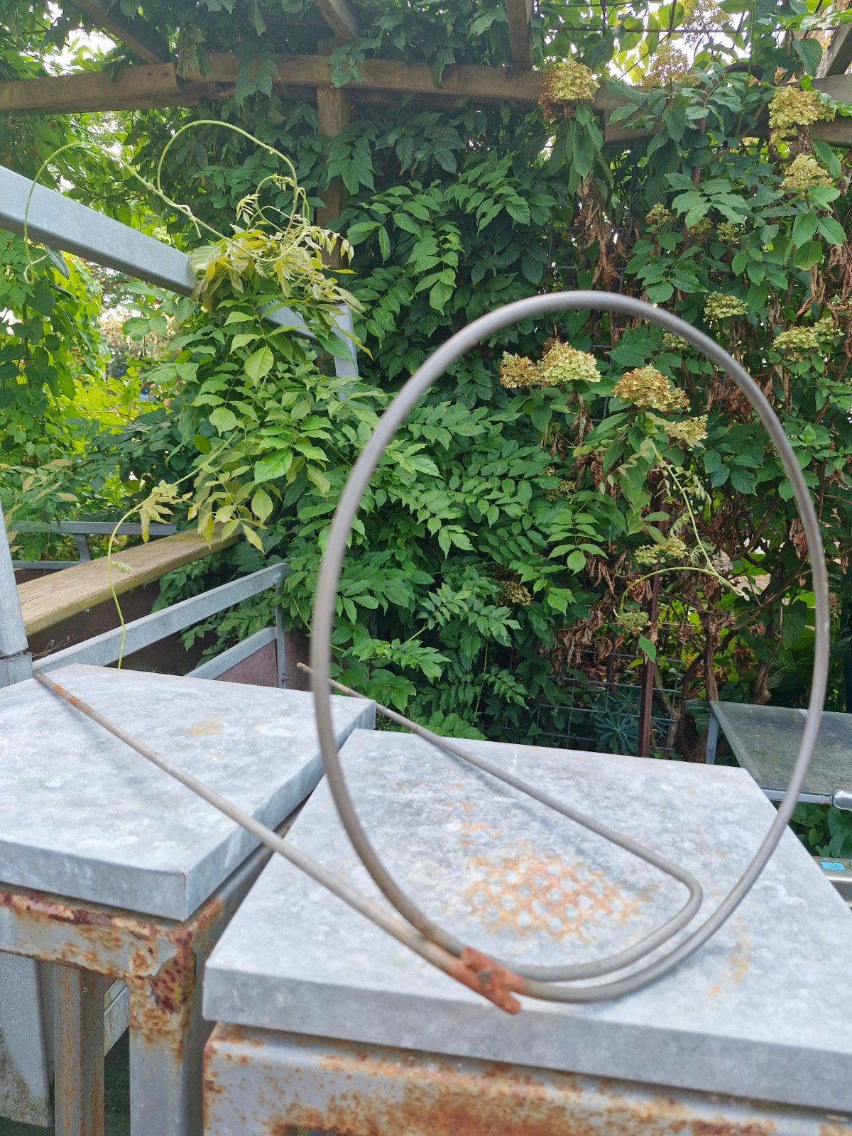 Plantensteun / Plantenring voor tuin of balkon, Tuin en Terras, Ophalen, Gebruikt
