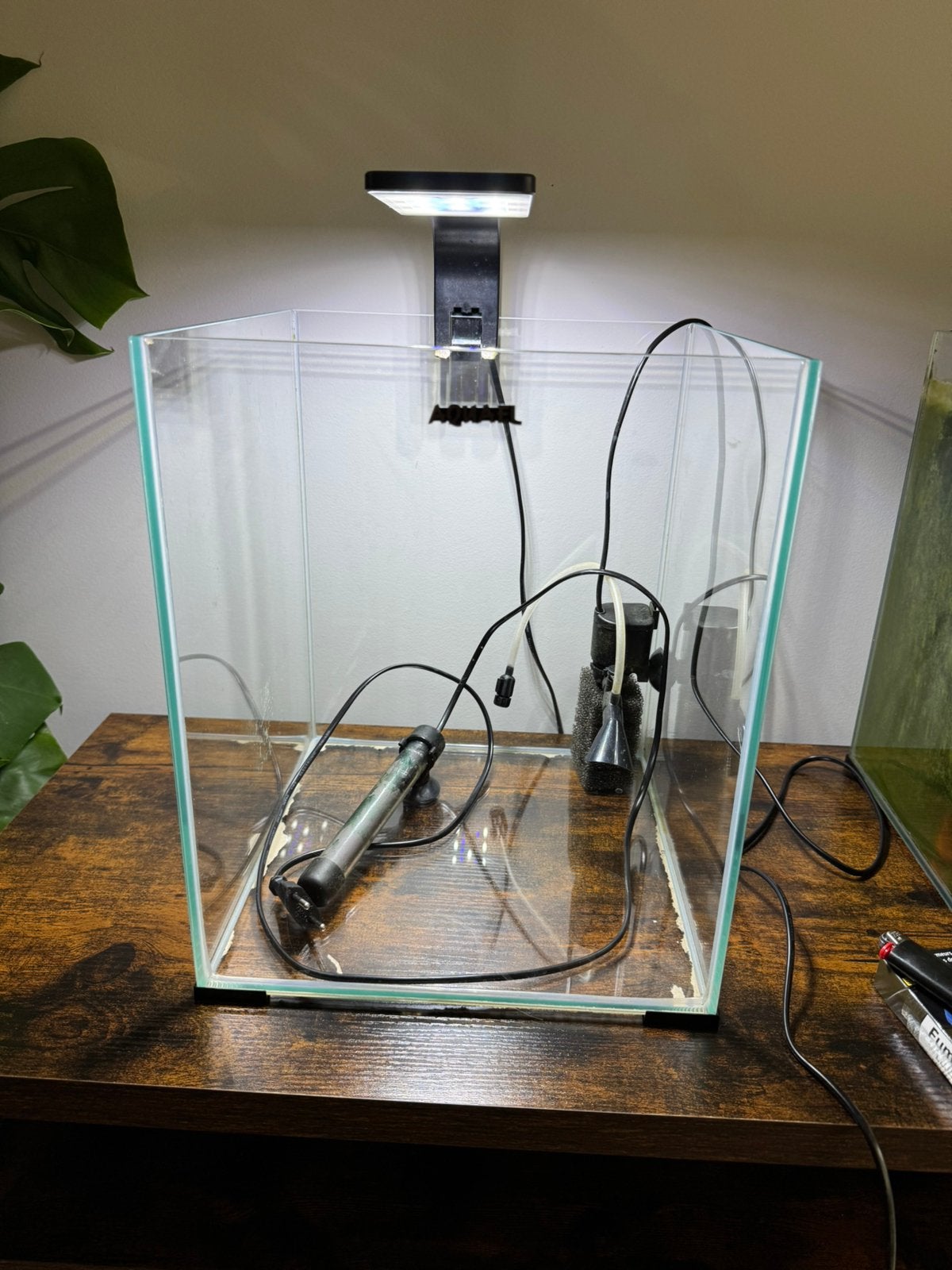 Garnalen aquarium compleet, Ophalen, Zo goed als nieuw, Gevuld zoetwateraquarium