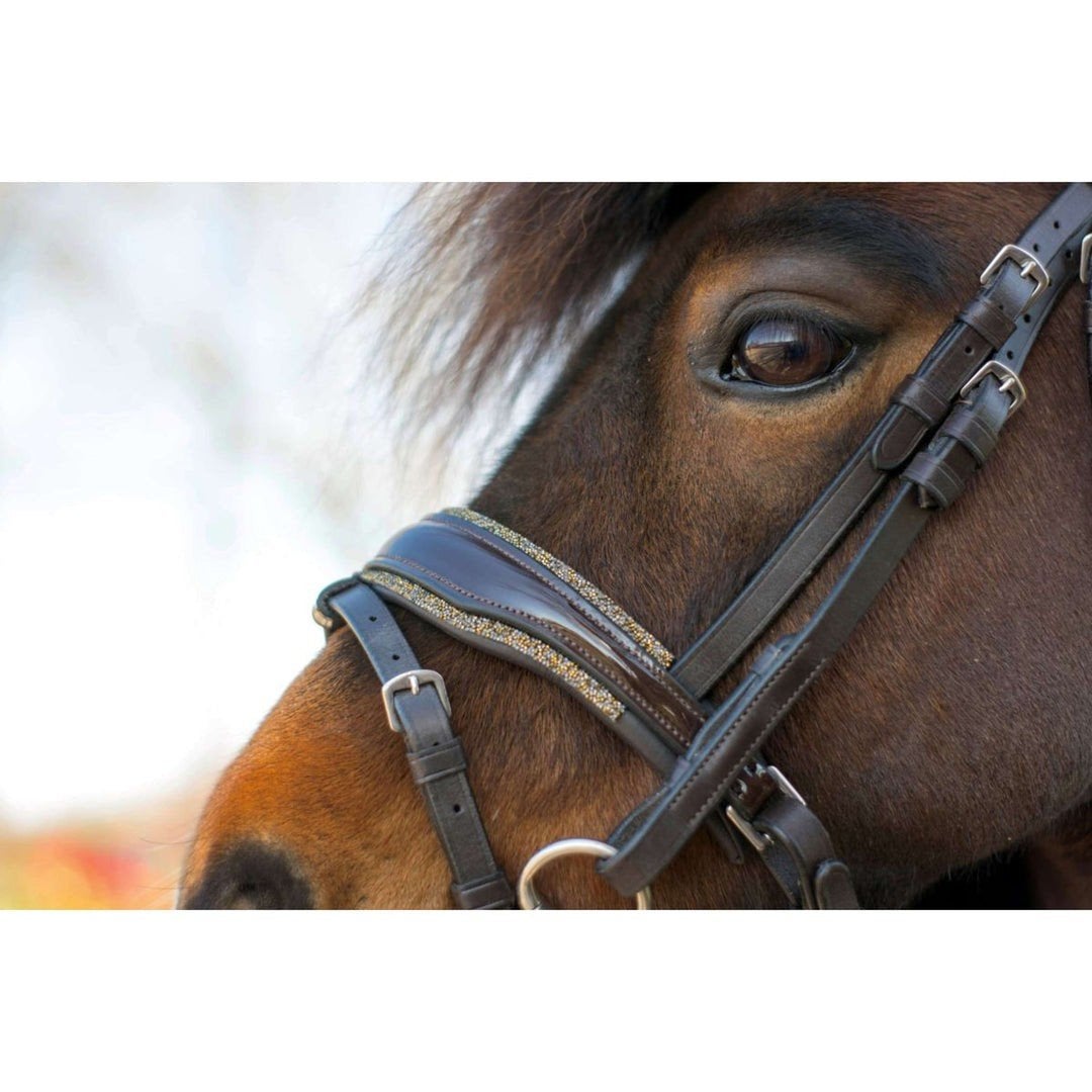 Shetlander / a pony hoofdstel bruin, Ophalen, Shetlander, Hoofdstel, Bruin