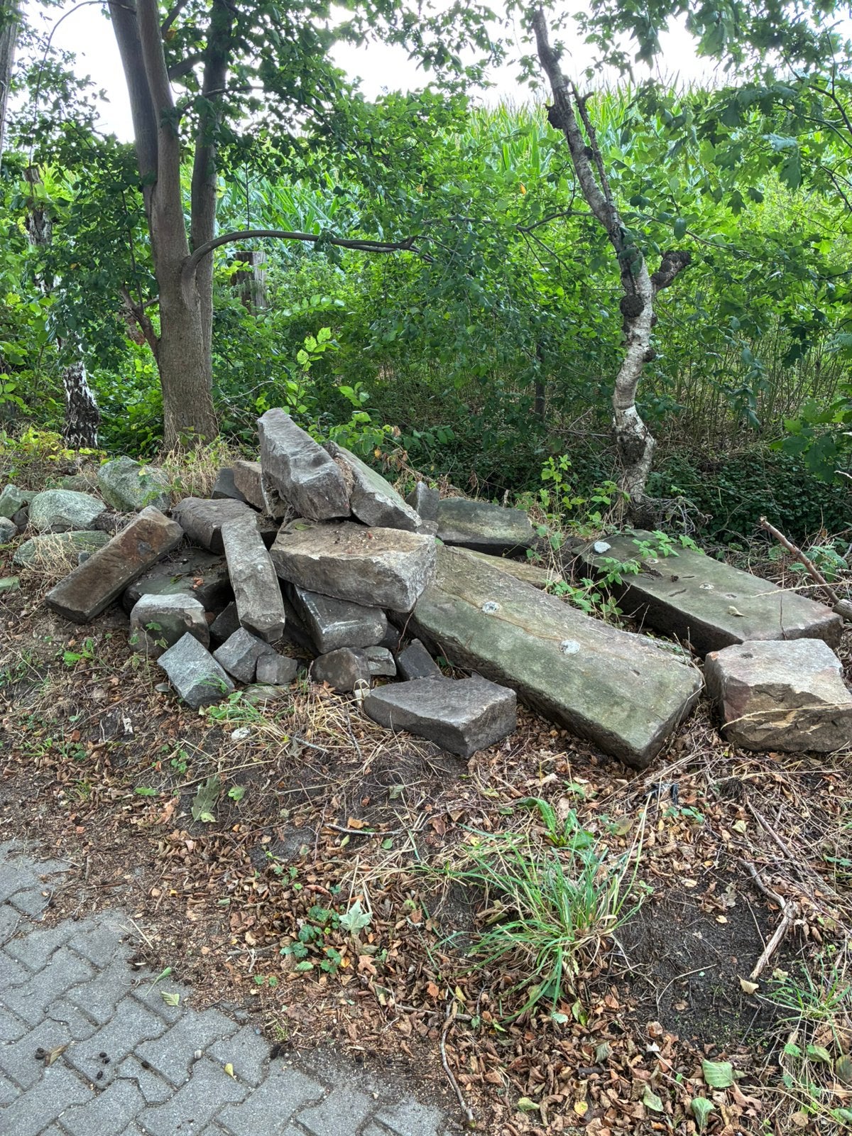 Bentheimer stenen, Ophalen, Steen, Gebruikt, Minder dan 30 cm