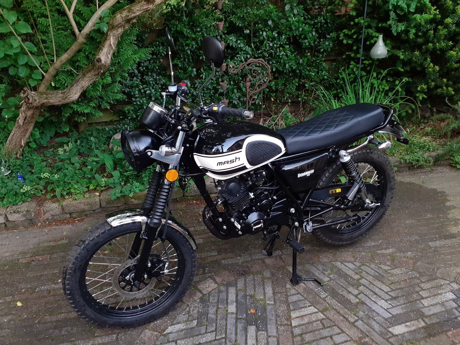 Mash Scrambler 50 2025