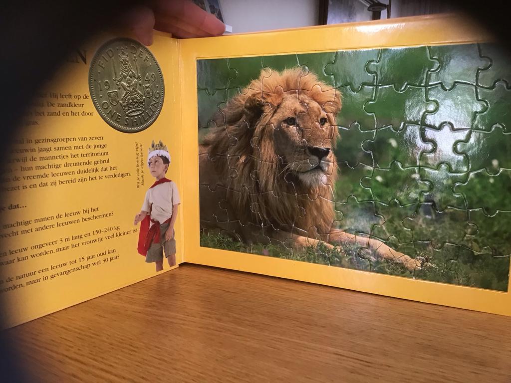Leeuwen en Tijgers Puzzelboek voor Kinderen, Ophalen, 10 tot 50 stukjes, Gebruikt, 4 tot 6 jaar