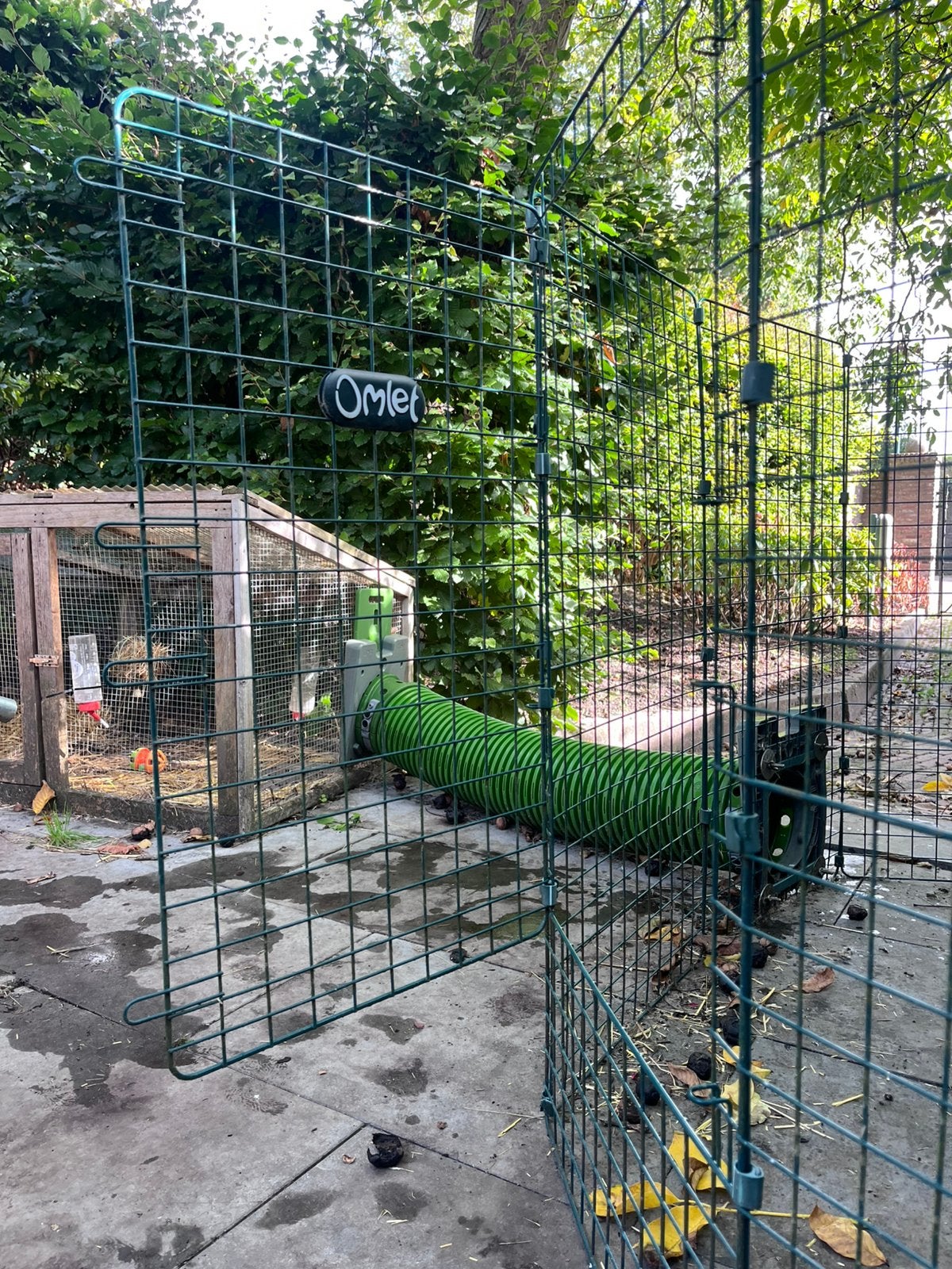 Zippi Omlet Konijnenren, tunnels en schuilhokje, Dieren en Toebehoren, Ophalen, 90 cm of meer, Konijn, Ren