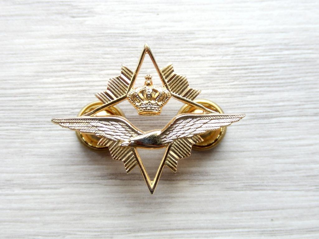 Brevetembleem Luchtmacht Hogere Stafbekwaamheid groot model, Verzenden, Luchtmacht, Nederland, Embleem of Badge